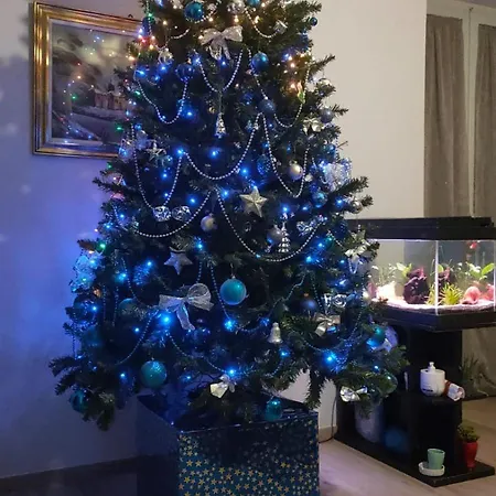 לינה וארוחת בוקר Serendipity 3*