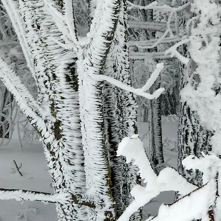 Serendipity 3* פבריאנו