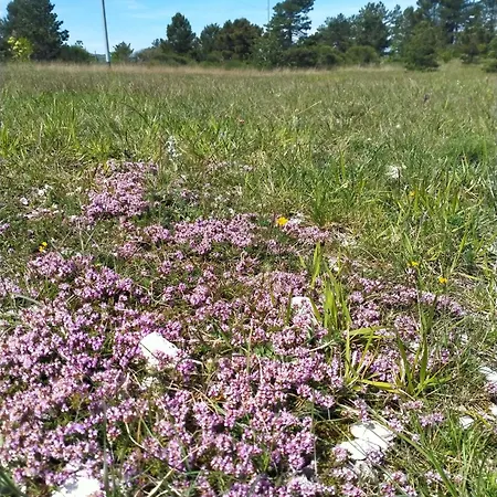 Serendipity לינה וארוחת בוקר 3*