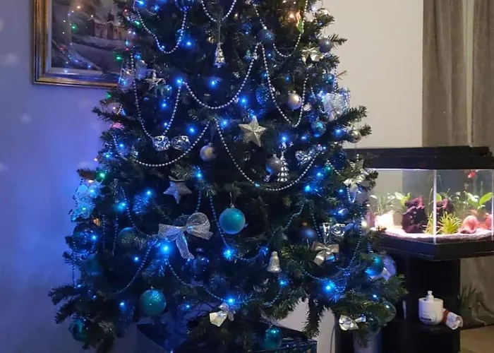 Bed & Breakfast Serendipity 3*