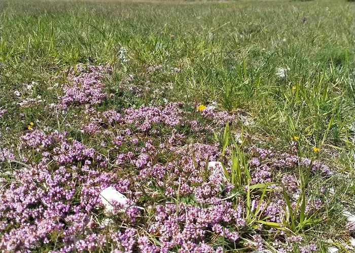 Serendipity Bed & Breakfast 3*