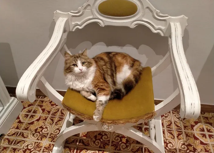 Serendipity Fabriano