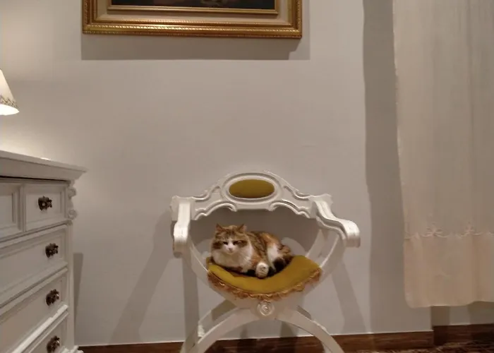 Bed & Breakfast Serendipity